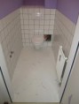 /album/fotogalerie-steinteppich-verlegung/wc-vorher-jpg1/